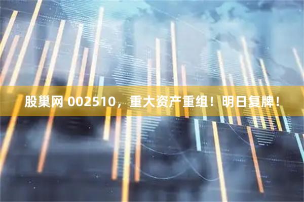 股巢网 002510，重大资产重组！明日复牌！